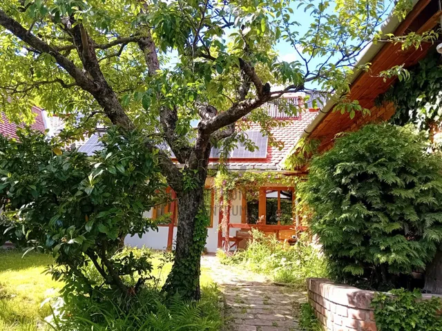 Eladó ház Hosszúhetény 258 nm