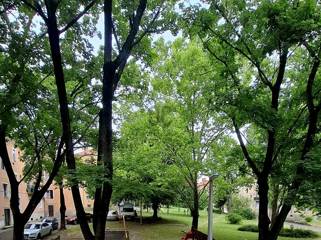 Eladó lakás Pécs, Meszes 50 nm