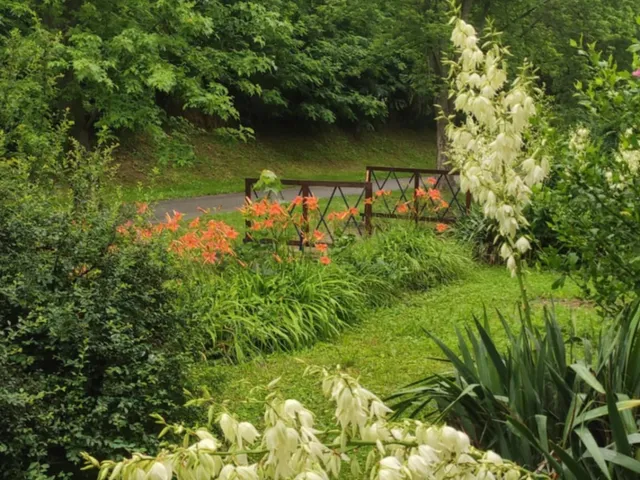 Eladó ház Bakonya 168 nm