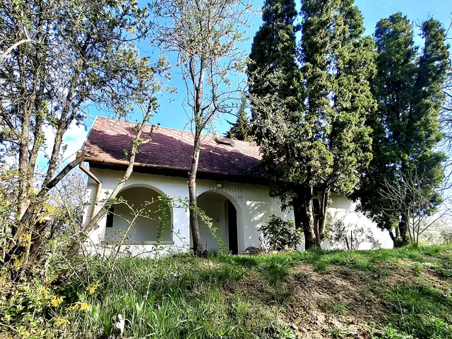 Eladó mezőgazdasági ingatlan Pellérd 1195 nm