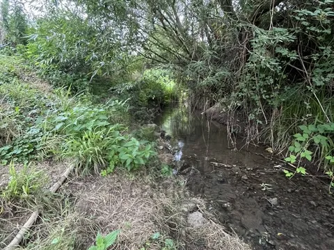 Eladó ház Szászvár 135 nm