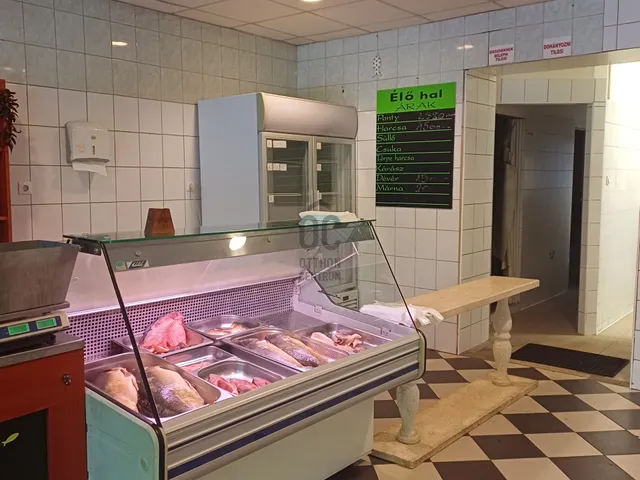Eladó kereskedelmi és ipari ingatlan Mohács 204 nm