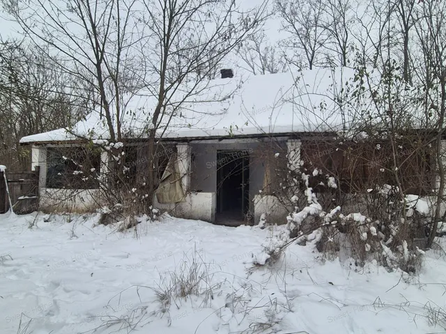 Eladó mezőgazdasági ingatlan Kerekegyháza 60 nm