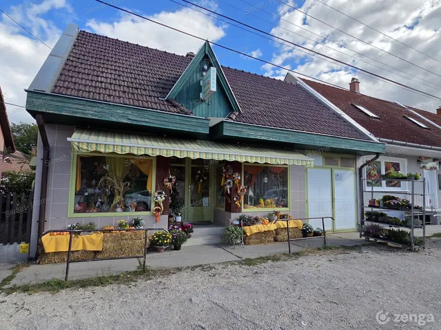 Eladó kereskedelmi és ipari ingatlan Kecskemét, Hetényegyháza 48 nm