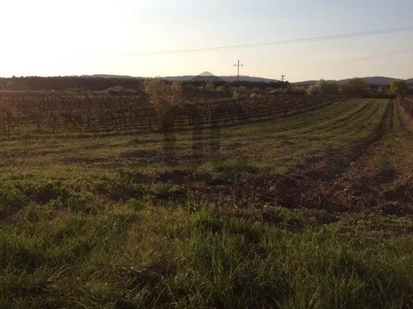 Eladó mezőgazdasági ingatlan Balatonudvari 10200 nm