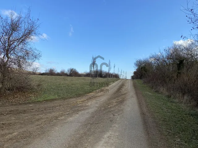 Eladó mezőgazdasági ingatlan Balatonfüred 4508 nm