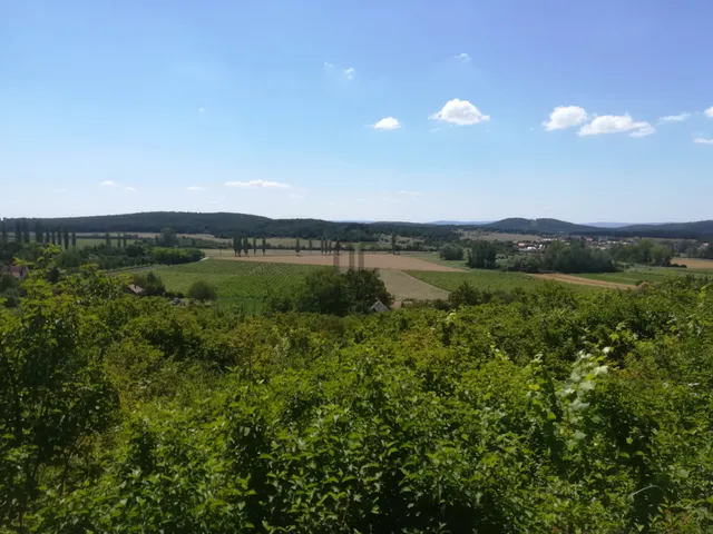 Eladó mezőgazdasági ingatlan Pécsely, Nemespécsely 3630 nm