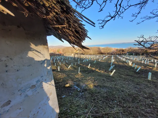 Eladó telek Ábrahámhegy 3009 nm