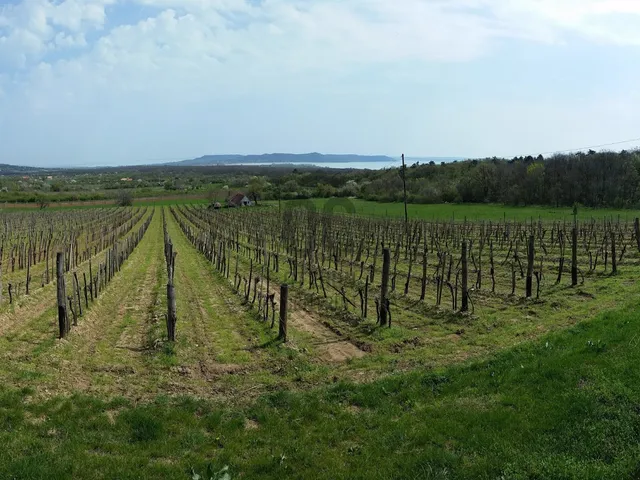 Eladó mezőgazdasági ingatlan Balatonudvari 3000 nm