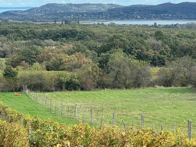 Eladó mezőgazdasági ingatlan Balatonudvari 3118 nm