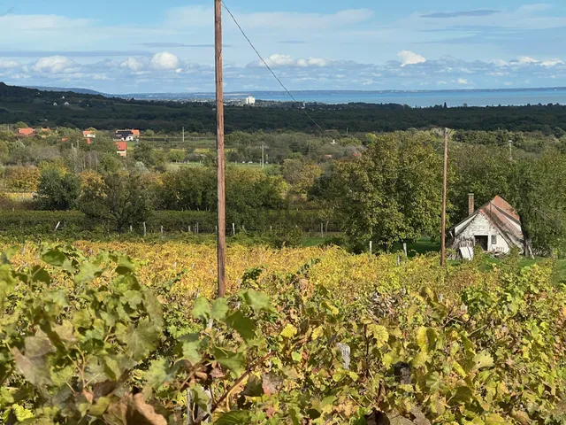 Eladó mezőgazdasági ingatlan Balatonudvari 3000 nm