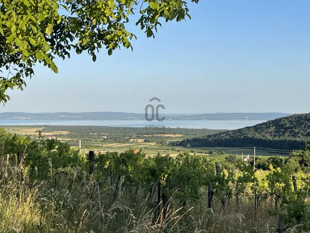 Eladó telek Balatoncsicsó 3000 nm