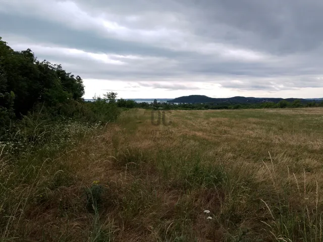 Eladó mezőgazdasági ingatlan Balatonfüred 5638 nm