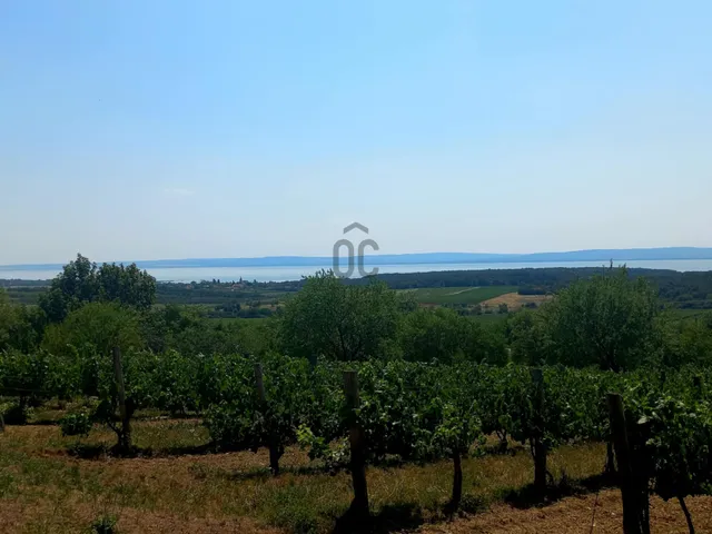 Eladó mezőgazdasági ingatlan Monoszló 12905 nm