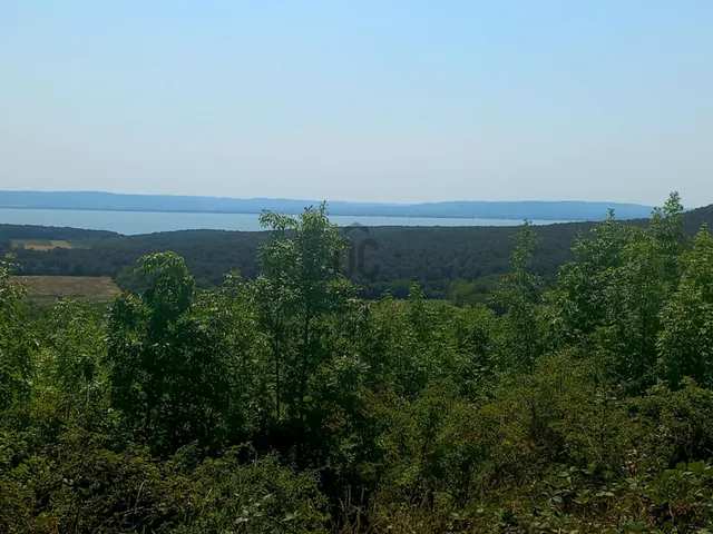 Eladó mezőgazdasági ingatlan Monoszló 12905 nm