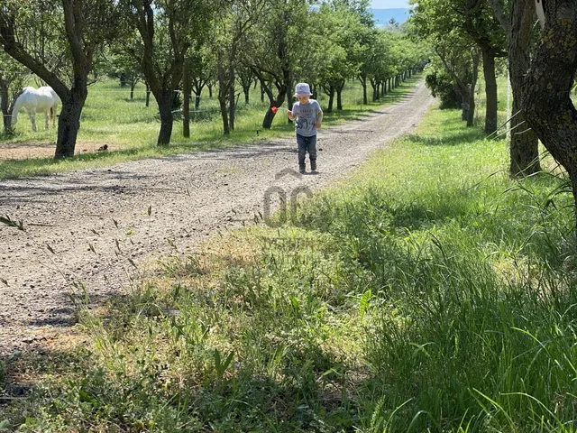 Eladó mezőgazdasági ingatlan Zánka 46000 nm