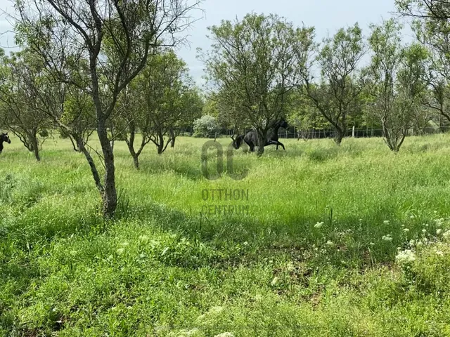 Eladó mezőgazdasági ingatlan Zánka 46000 nm