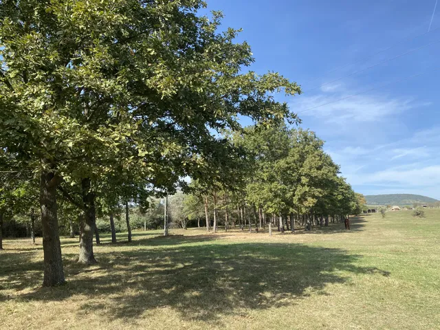 Eladó mezőgazdasági ingatlan Zánka 79725 nm