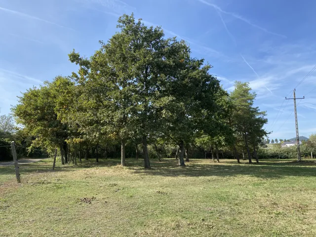 Eladó mezőgazdasági ingatlan Zánka 79725 nm