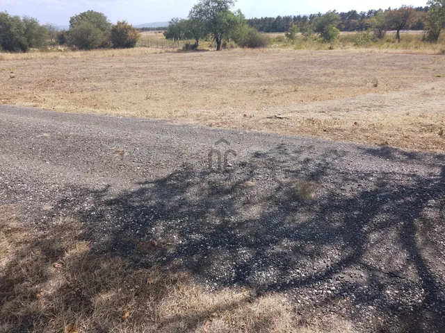 Eladó mezőgazdasági ingatlan Dörgicse 5533 nm