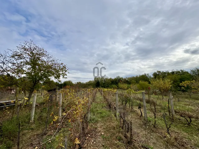 Eladó üdülő és hétvégi ház Belezna 24 nm