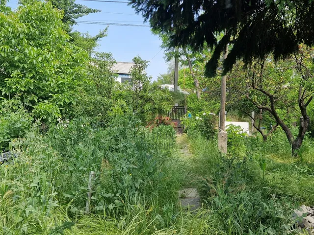 Eladó telek Budapest XXI. kerület, Szabótelep 563 nm