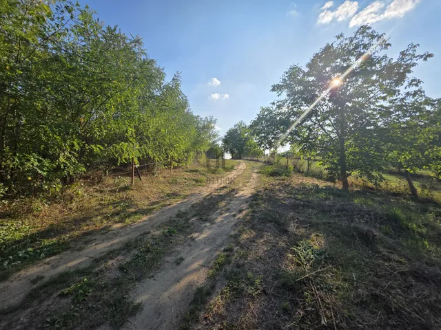 Eladó telek Taksony 2555 nm