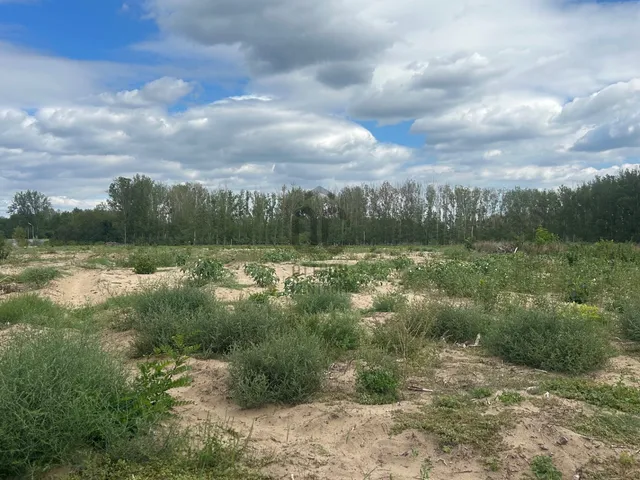 Eladó telek Alsónémedi 30000 nm