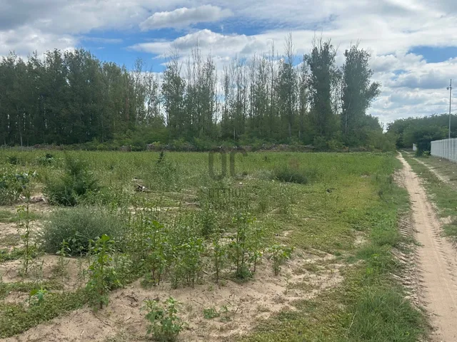 Eladó telek Alsónémedi 30000 nm