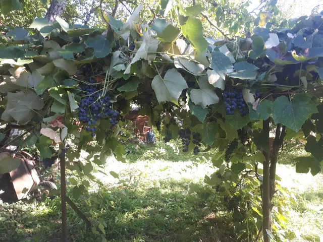 Eladó telek Szigetszentmiklós, Gyártelep 1314 nm