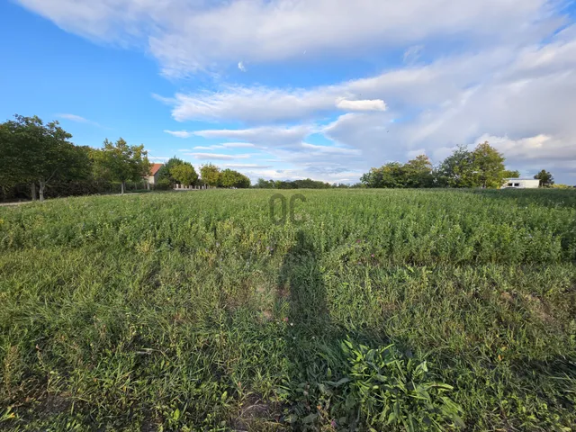 Eladó telek Dömsöd 4007 nm