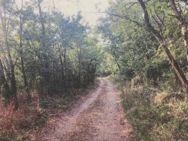 Eladó mezőgazdasági ingatlan Pilisvörösvár 381006 nm