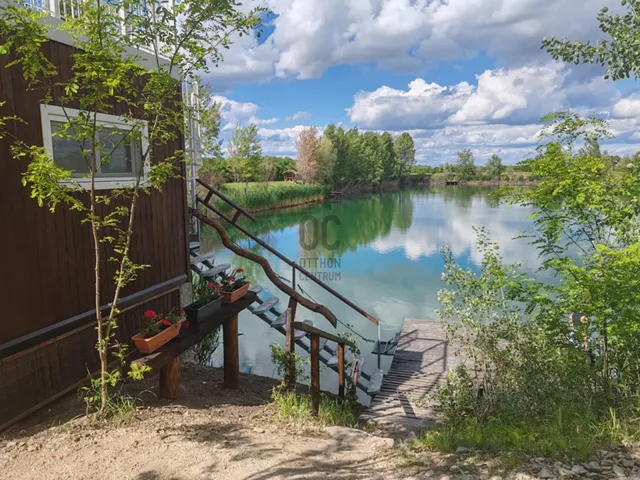 Eladó mezőgazdasági ingatlan Délegyháza 49216 nm