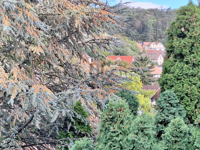 Eladó ház Törökbálint 190 nm