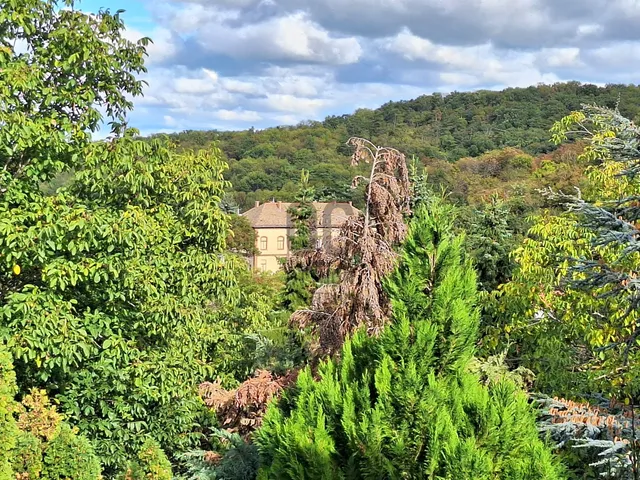 Eladó ház Törökbálint 190 nm