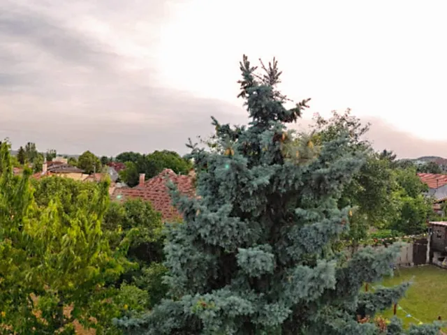 Eladó ház Budaörs 79 nm