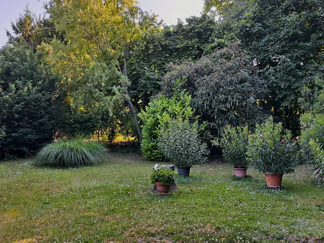 Eladó telek Törökbálint 1080 nm