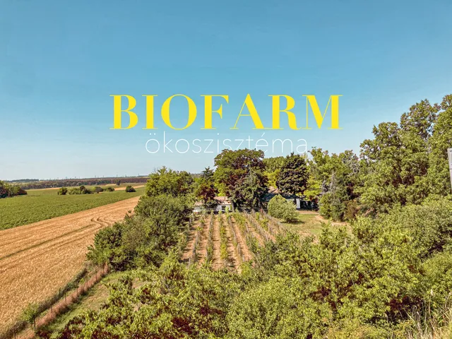 Eladó mezőgazdasági ingatlan Érd, Gulyás Tanya 243 nm