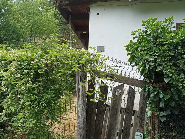 Eladó ház Pécs, Mecsekoldal 50 nm
