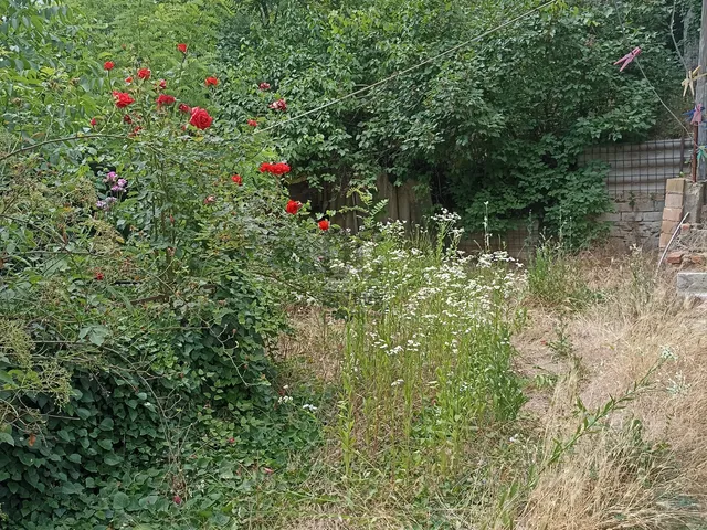 Eladó ház Pécs, Mecsekoldal 50 nm