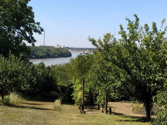 Eladó ház Mohács 40 nm