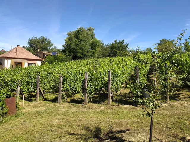 Eladó telek Mohács 40 nm