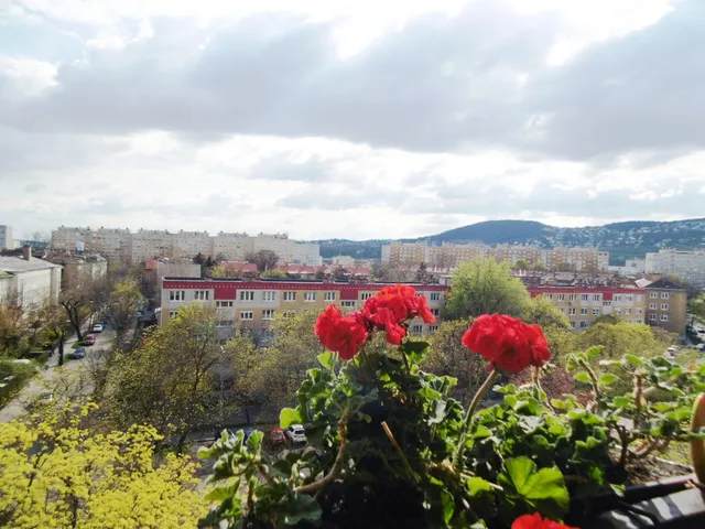 Eladó lakás Budapest III. kerület, Óbuda 65 nm