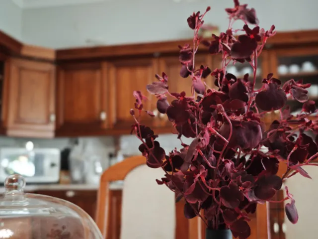 Eladó ház Szigetszentmiklós, Szigetszentmiklós Óváros 120 nm