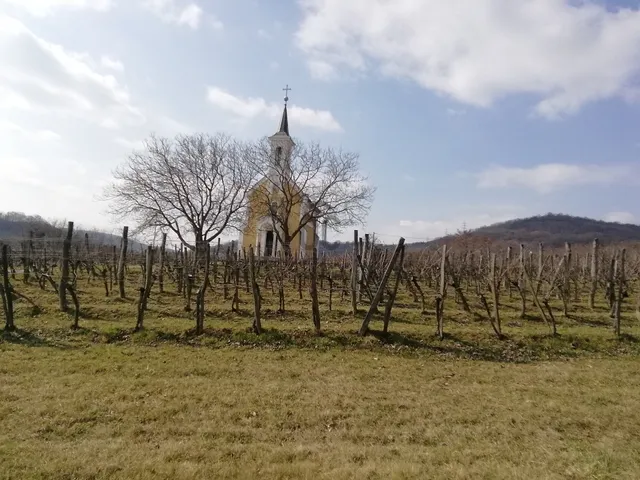 Eladó mezőgazdasági ingatlan Lesenceistvánd 2940 nm