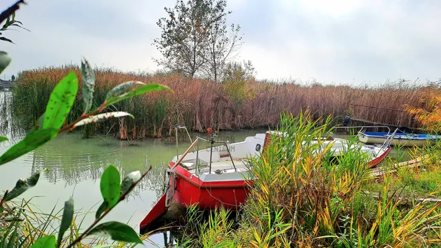 Eladó kereskedelmi és ipari ingatlan Balatongyörök 1414 nm