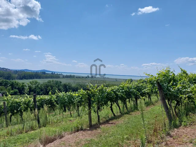 Eladó telek Szigliget 10999 nm