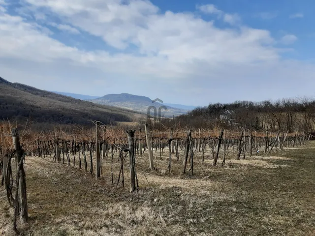 Eladó telek Káptalantóti 3000 nm