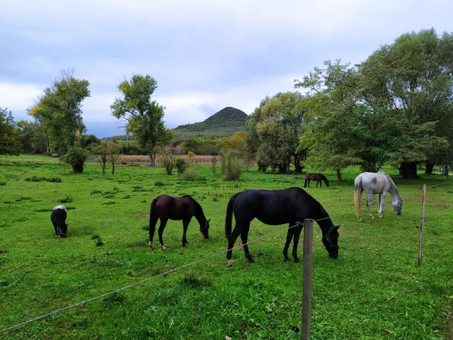 Eladó telek Badacsonytomaj 4152 nm