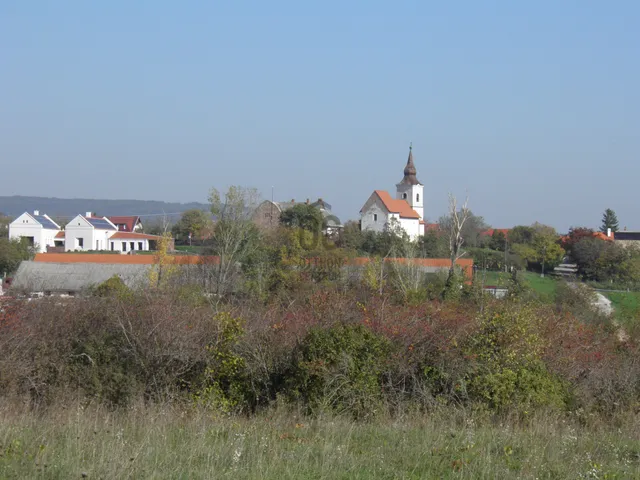 Eladó mezőgazdasági ingatlan Zánka 10020 nm